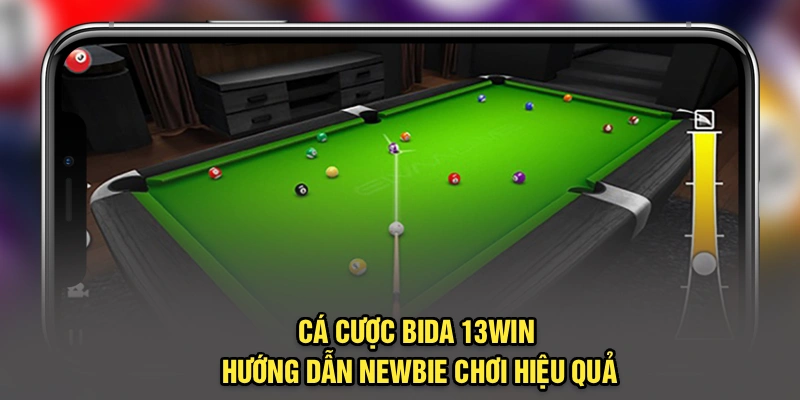Cá Cược Bida 13Win – Hướng Dẫn Newbie Chơi Hiệu Quả