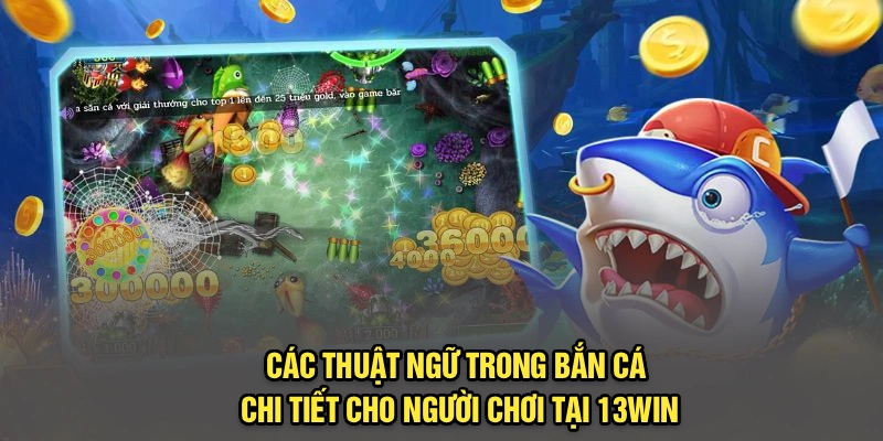 Các Thuật Ngữ Trong Bắn Cá Chi Tiết Cho Người Chơi Tại 13Win
