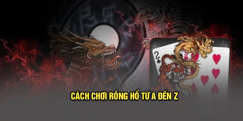 Cách chơi rồng hổ từ A đến Z