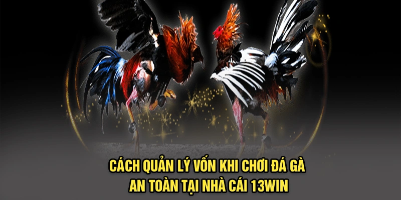 Cách Quản Lý Vốn Khi Chơi Đá Gà An Toàn Tại Nhà Cái 13Win