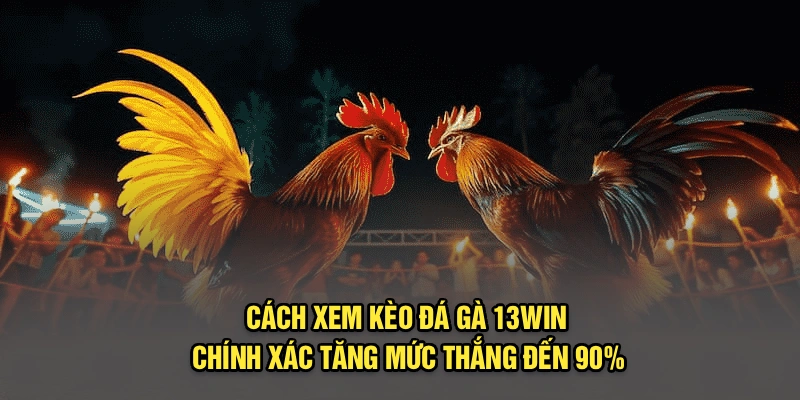 Cách Xem Kèo Đá Gà 13Win Chính Xác Tăng Mức Thắng Đến 90%
