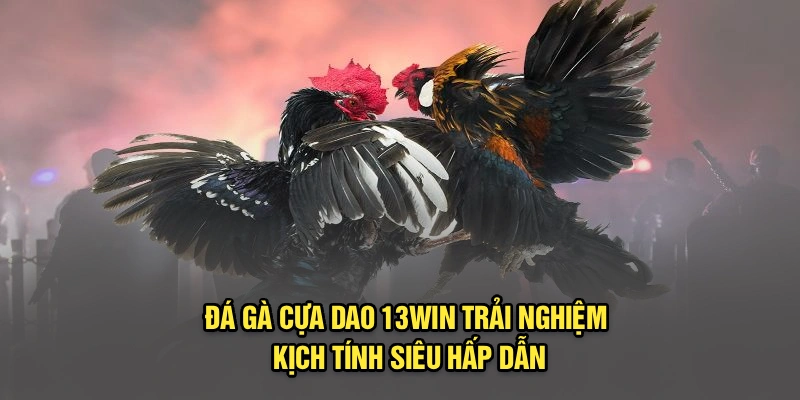 Đá Gà Cựa Dao 13Win | Trải Nghiệm Kịch Tính Siêu Hấp Dẫn
