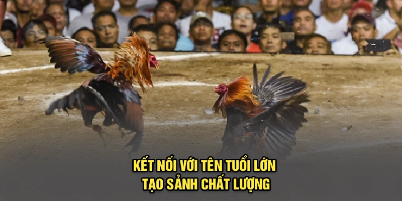 Kết nối với tên tuổi lớn tạo sảnh chất lượng