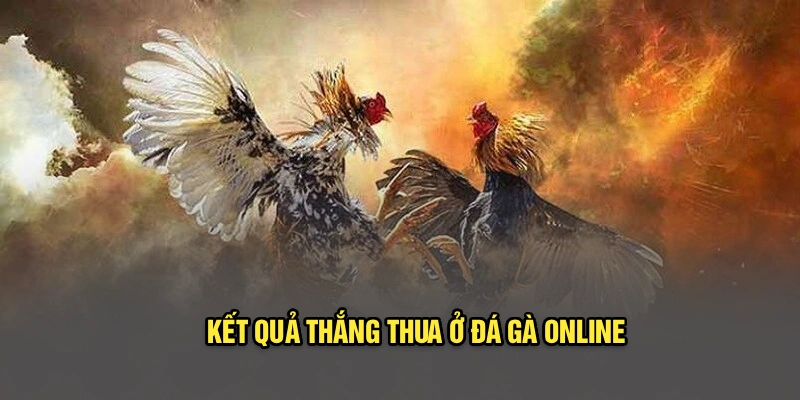 Kết quả thắng thua ở đá gà online