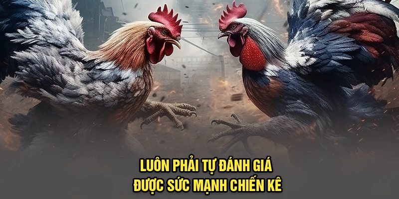 Luôn phải tự đánh giá được sức mạnh chiến kê