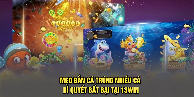 Mẹo Bắn Cá Trúng Nhiều Cá – Bí Quyết Bất Bại Tại 13Win